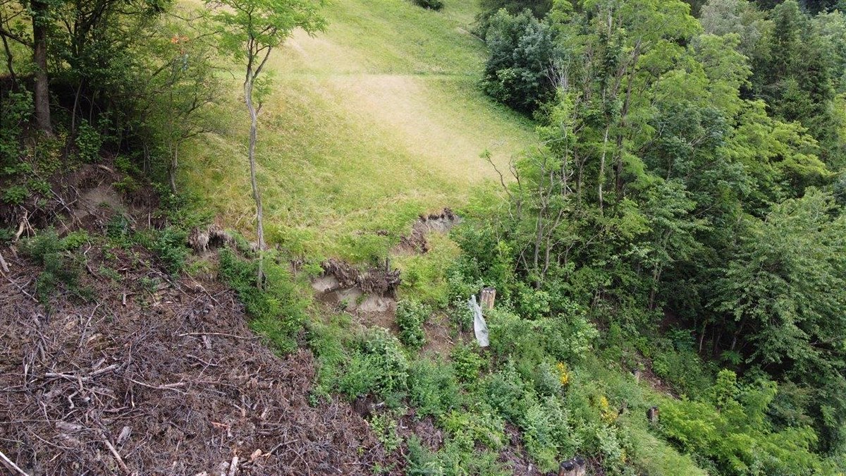 20210705_DJI_0285