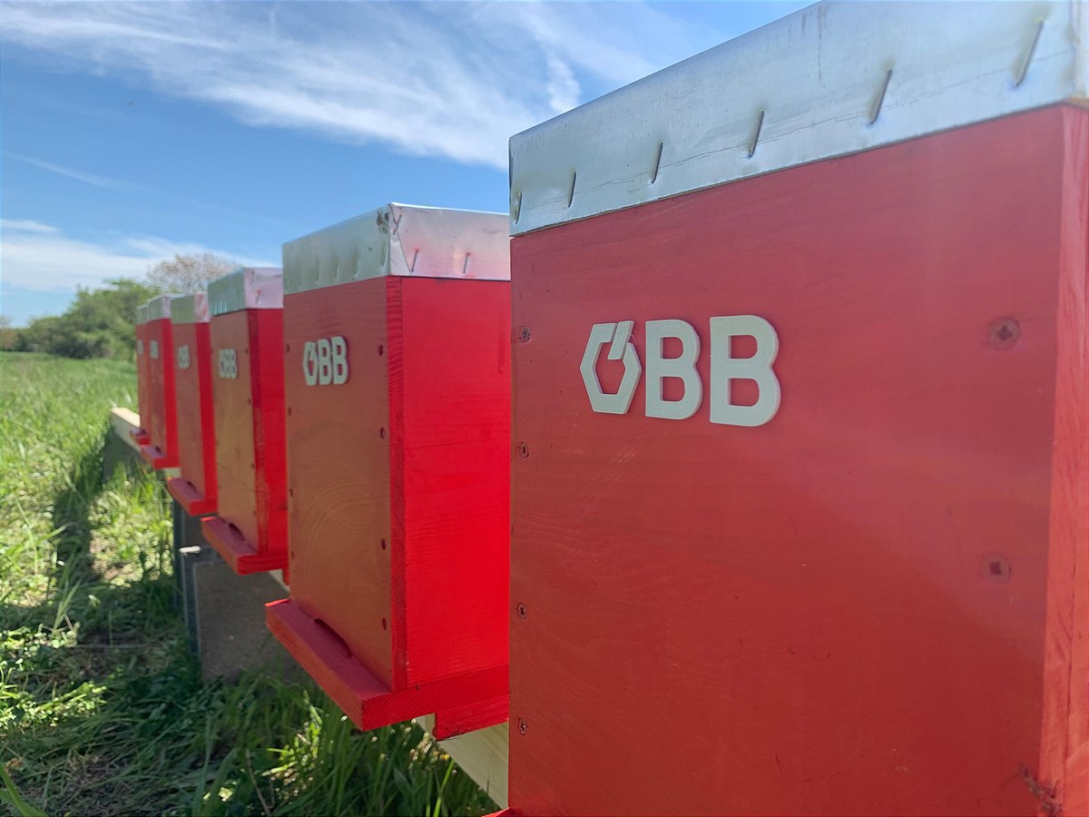 20210519_OeBB-Bienenbehausung-mit-Logo-(real)_c-OeBB-Nicole-Toetschinger-(1)