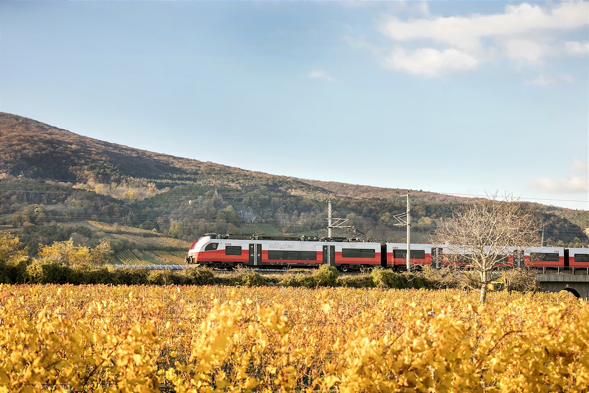 Cityjet in der Landschaft