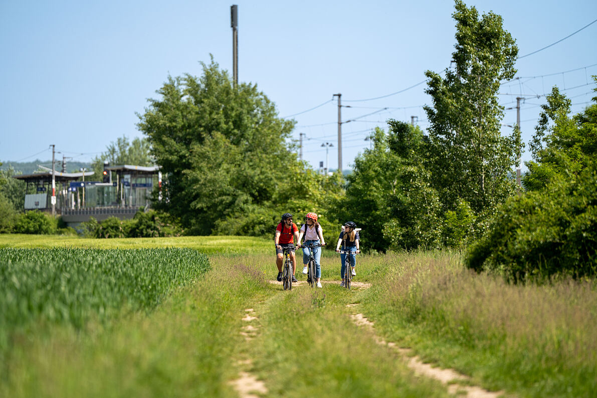 ÖBB Bienen- und Blumenradeln