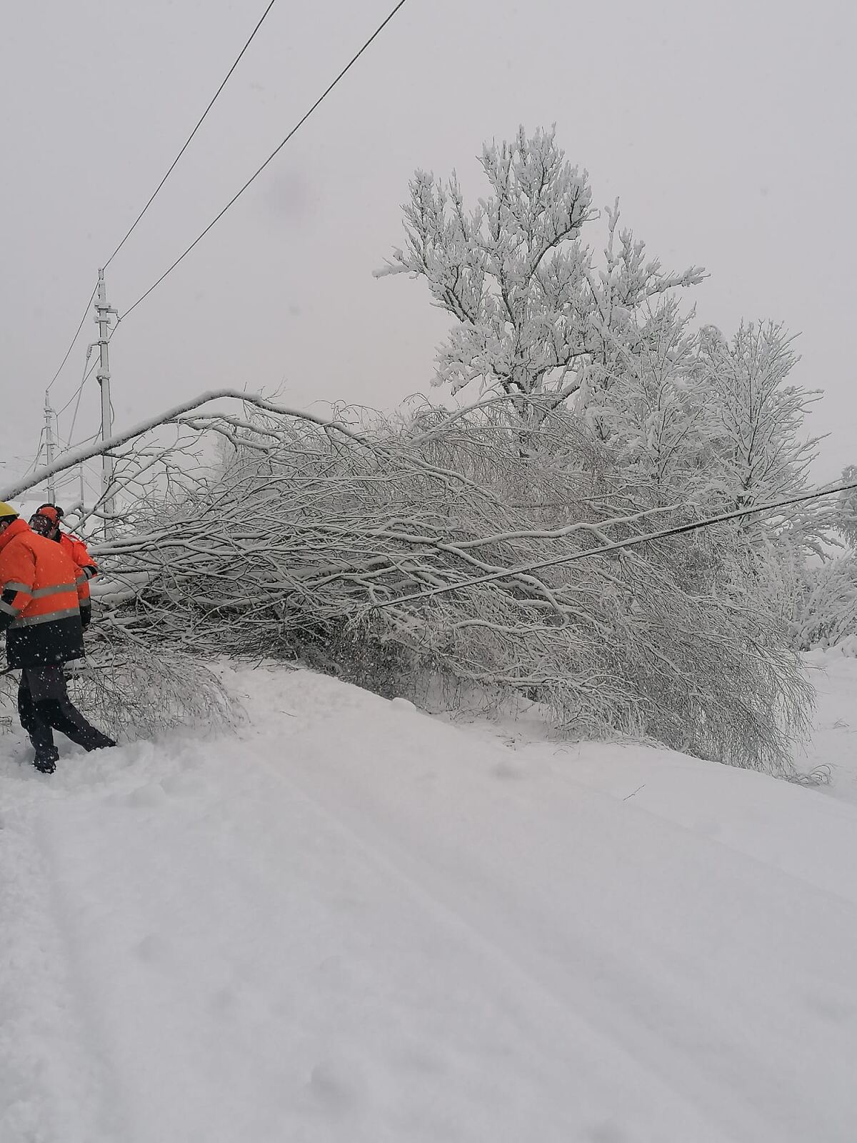 Aufräumarbeiten nach starken Schneefällen schreiten voran