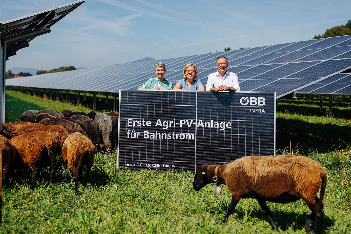 Agri PV-Anlage Thalsdorf