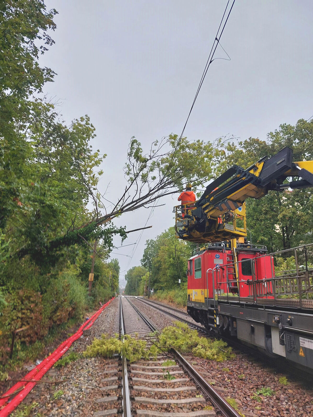 Baum-in-Oberleitung_Wien_Hütteldorf_c_ÖBB-(6)