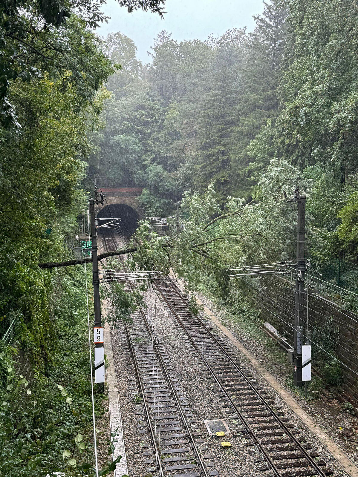 15.09.2024 17:46 Uhr - ÖBB-Appell: Nicht unbedingt notwendige Zugfahrten bitte unterlassen 