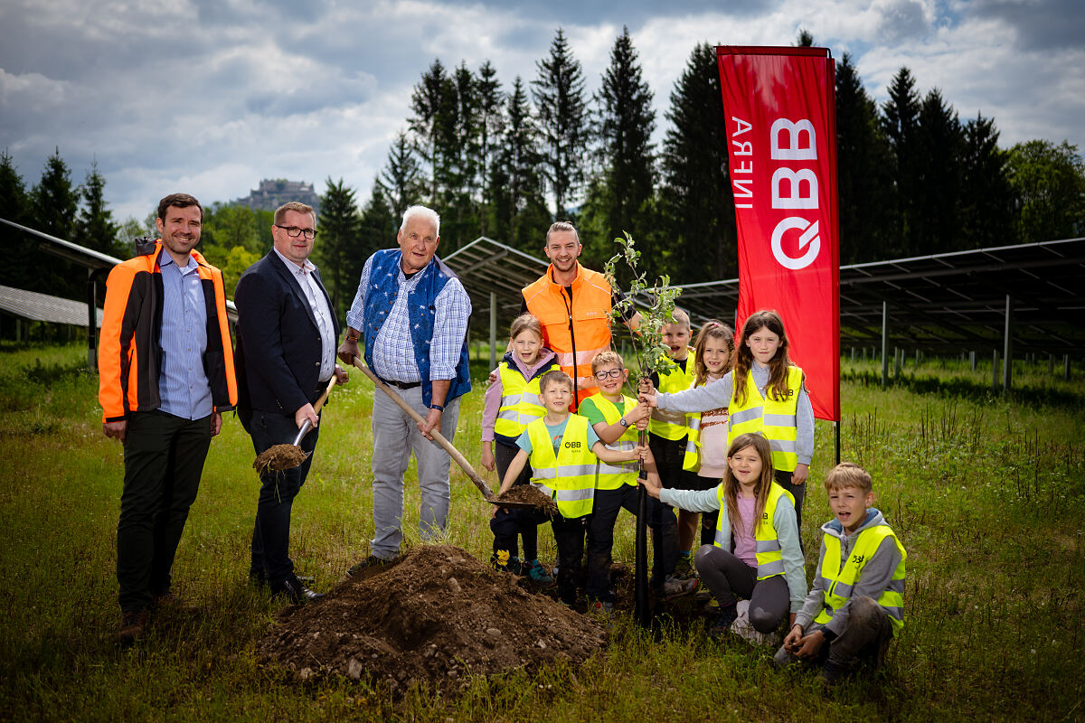 Bepflanzungsaktion Agri-PV-Anlage Thalsdorf