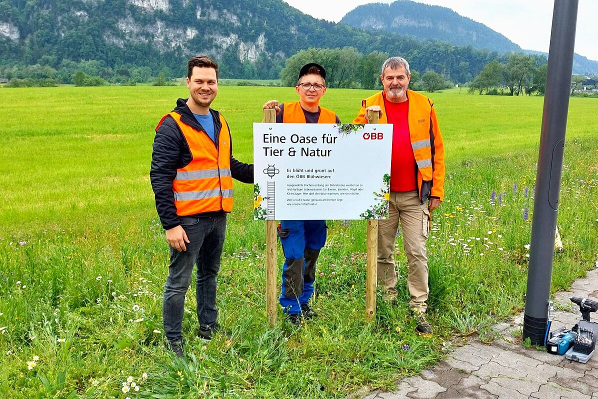 Blühwiese in Altach (c) oebb_Julian Hackl (1)