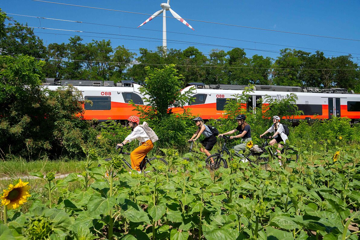 PI Bild BienenBlumenRadeln (c) oebb_Michael Posch 16x9
