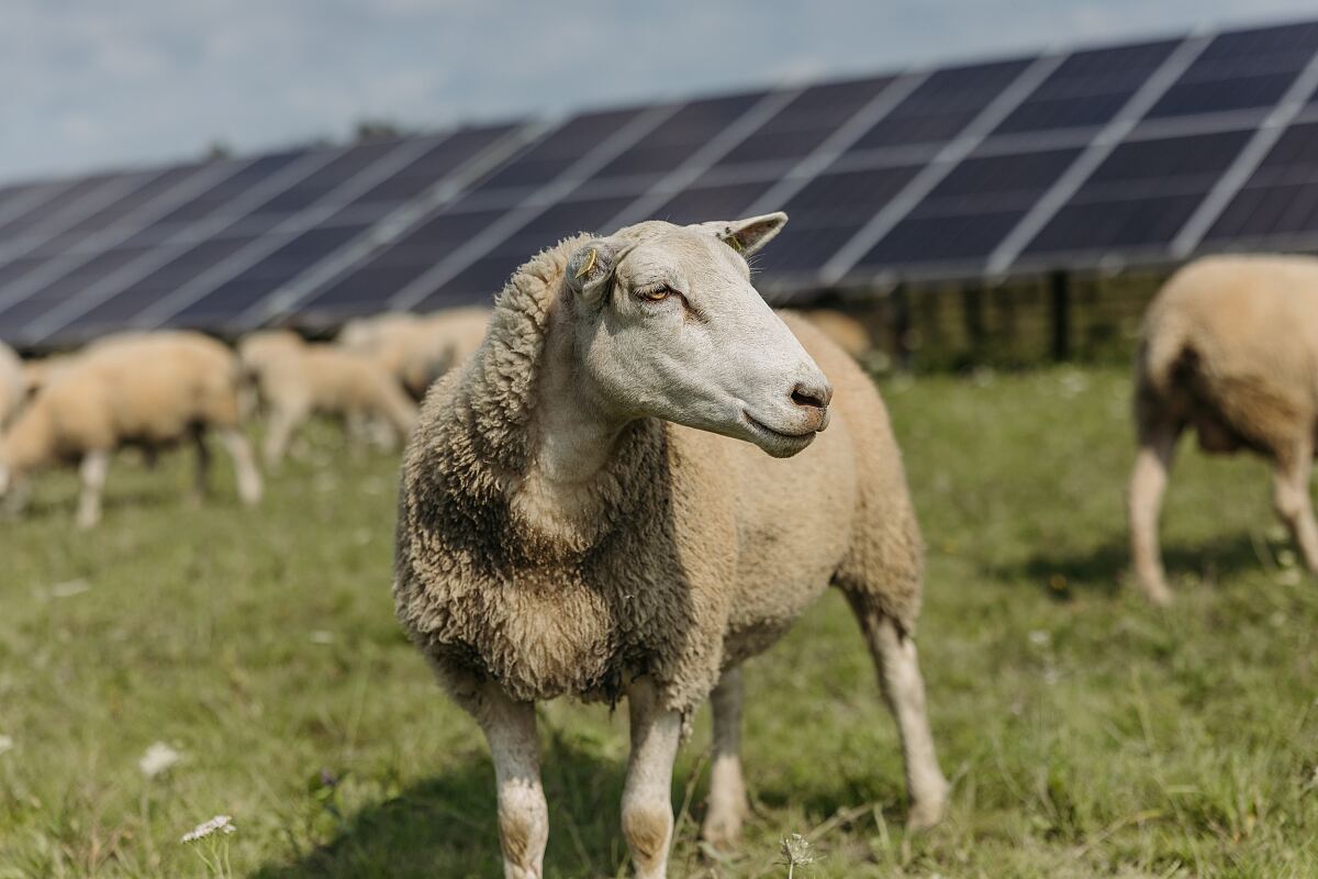 PV Anlage Riedau