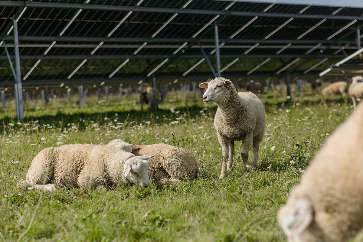 PV Anlage Riedau