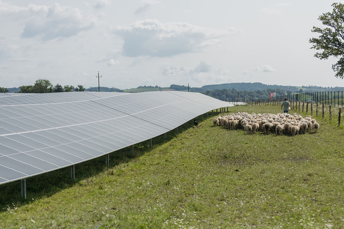 Agri PV Anlage